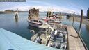 ./images/quadra/hbidock/20250508/hbidock20250508_121500M.jpg