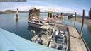./images/quadra/hbidock/20250508/hbidock20250508_121510M.jpg