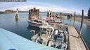 ./images/quadra/hbidock/20250508/hbidock20250508_122000M.jpg