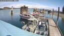 ./images/quadra/hbidock/20250508/hbidock20250508_122010M.jpg