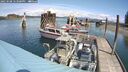 ./images/quadra/hbidock/20250508/hbidock20250508_123500M.jpg