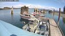 ./images/quadra/hbidock/20250508/hbidock20250508_125000M.jpg