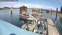 ./images/quadra/hbidock/20250508/hbidock20250508_125009M.jpg