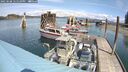 ./images/quadra/hbidock/20250508/hbidock20250508_125510M.jpg