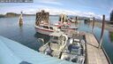 ./images/quadra/hbidock/20250508/hbidock20250508_130012M.jpg