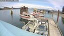 ./images/quadra/hbidock/20250508/hbidock20250508_134011M.jpg
