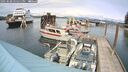 ./images/quadra/hbidock/20250508/hbidock20250508_145011M.jpg