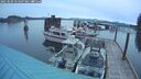./images/quadra/hbidock/20250509/hbidock20250509_054507M.jpg