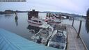 ./images/quadra/hbidock/20250509/hbidock20250509_055000M.jpg