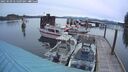 ./images/quadra/hbidock/20250509/hbidock20250509_055009M.jpg