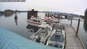./images/quadra/hbidock/20250509/hbidock20250509_062008M.jpg