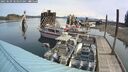 ./images/quadra/hbidock/20250509/hbidock20250509_103500M.jpg