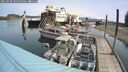 ./images/quadra/hbidock/20250509/hbidock20250509_105509M.jpg