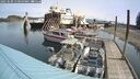 ./images/quadra/hbidock/20250509/hbidock20250509_110500M.jpg