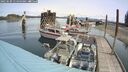 ./images/quadra/hbidock/20250509/hbidock20250509_114500M.jpg