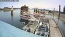 ./images/quadra/hbidock/20250509/hbidock20250509_121008M.jpg