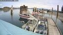./images/quadra/hbidock/20250509/hbidock20250509_122000M.jpg