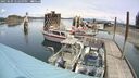 ./images/quadra/hbidock/20250509/hbidock20250509_122509M.jpg
