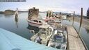 ./images/quadra/hbidock/20250509/hbidock20250509_123500M.jpg
