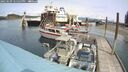 ./images/quadra/hbidock/20250509/hbidock20250509_125500M.jpg