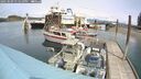 ./images/quadra/hbidock/20250509/hbidock20250509_131510M.jpg
