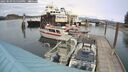 ./images/quadra/hbidock/20250509/hbidock20250509_145509M.jpg