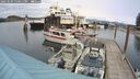 ./images/quadra/hbidock/20250509/hbidock20250509_150011M.jpg