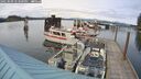 ./images/quadra/hbidock/20250509/hbidock20250509_173509M.jpg