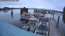 ./images/quadra/hbidock/20250510/hbidock20250510_053000M.jpg