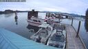 ./images/quadra/hbidock/20250510/hbidock20250510_054501M.jpg