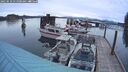 ./images/quadra/hbidock/20250510/hbidock20250510_055000M.jpg