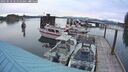 ./images/quadra/hbidock/20250510/hbidock20250510_061010M.jpg