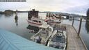 ./images/quadra/hbidock/20250510/hbidock20250510_070011M.jpg