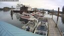 ./images/quadra/hbidock/20250510/hbidock20250510_090508M.jpg