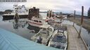 ./images/quadra/hbidock/20250510/hbidock20250510_103509M.jpg