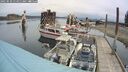 ./images/quadra/hbidock/20250510/hbidock20250510_114511M.jpg