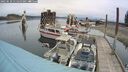 ./images/quadra/hbidock/20250510/hbidock20250510_115500M.jpg