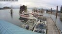 ./images/quadra/hbidock/20250510/hbidock20250510_133000M.jpg
