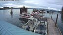 ./images/quadra/hbidock/20250510/hbidock20250510_204508M.jpg
