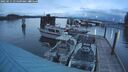 ./images/quadra/hbidock/20250511/hbidock20250511_051509M.jpg