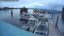 ./images/quadra/hbidock/20250511/hbidock20250511_052508M.jpg