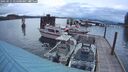 ./images/quadra/hbidock/20250511/hbidock20250511_054501M.jpg