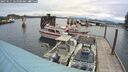 ./images/quadra/hbidock/20250511/hbidock20250511_065001M.jpg