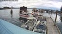./images/quadra/hbidock/20250511/hbidock20250511_082510M.jpg