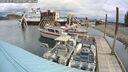 ./images/quadra/hbidock/20250511/hbidock20250511_110500M.jpg