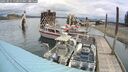 ./images/quadra/hbidock/20250511/hbidock20250511_111000M.jpg