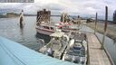 ./images/quadra/hbidock/20250511/hbidock20250511_111011M.jpg