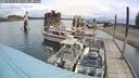 ./images/quadra/hbidock/20250511/hbidock20250511_113011M.jpg