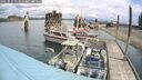 ./images/quadra/hbidock/20250511/hbidock20250511_115510M.jpg