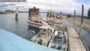 ./images/quadra/hbidock/20250511/hbidock20250511_120000M.jpg